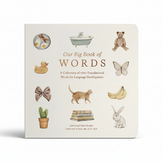 Our Big Book of First Words