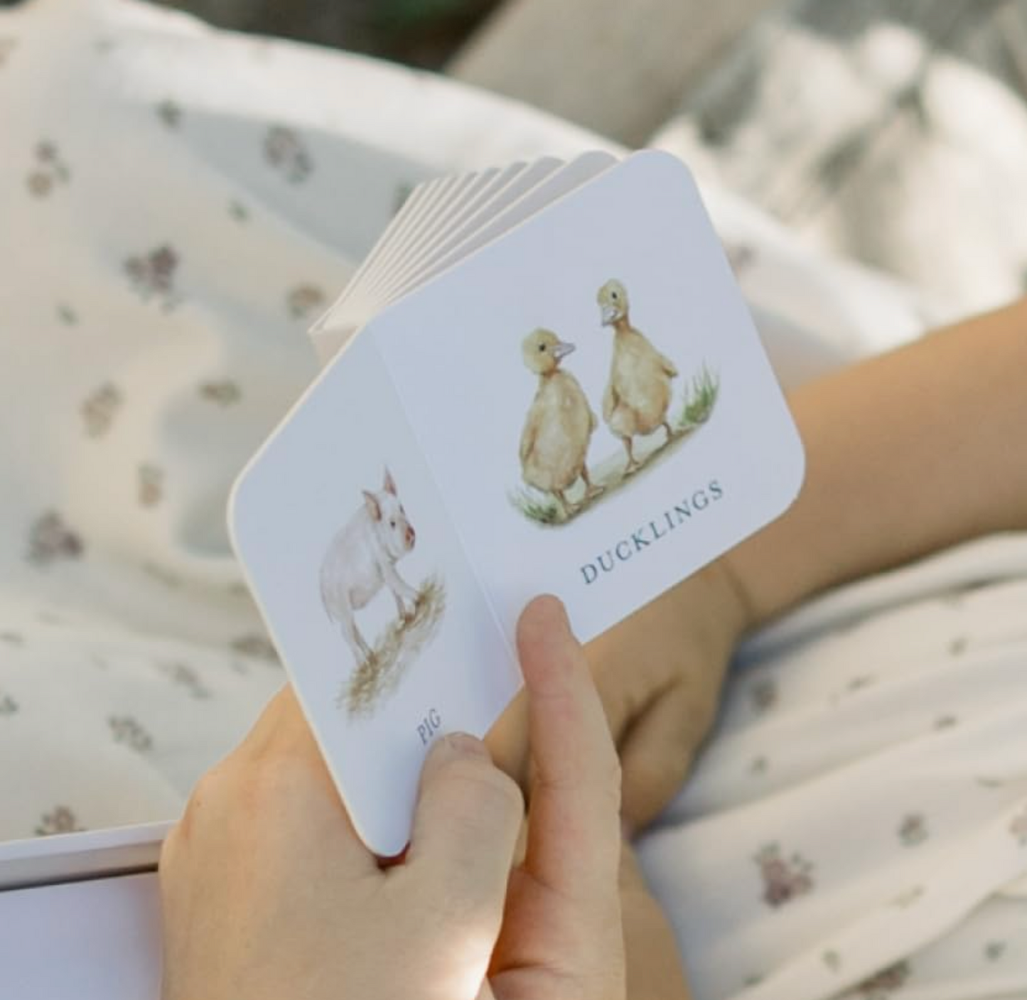 Our Very Little Library Board Book Set